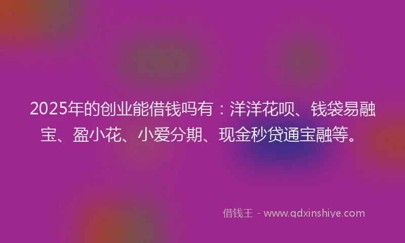 2025年的创业能借钱吗有：洋洋花呗、钱袋易融宝、盈小花、小爱分期、现金秒贷通宝融等。