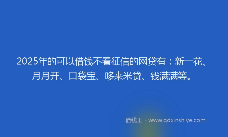 2025年的可以借钱不看征信的网贷有：新一花、月月开、口袋宝、哆来米贷、钱满满等。