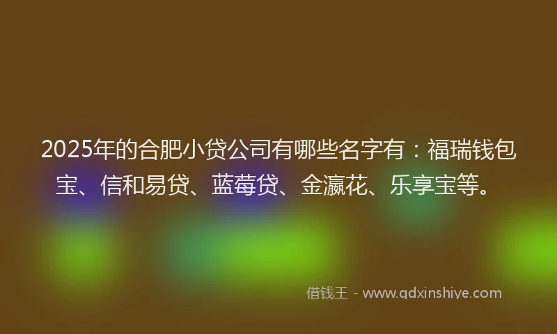 2025年的合肥小贷公司有哪些名字有：福瑞钱包宝、信和易贷、蓝莓贷、金瀛花、乐享宝等。