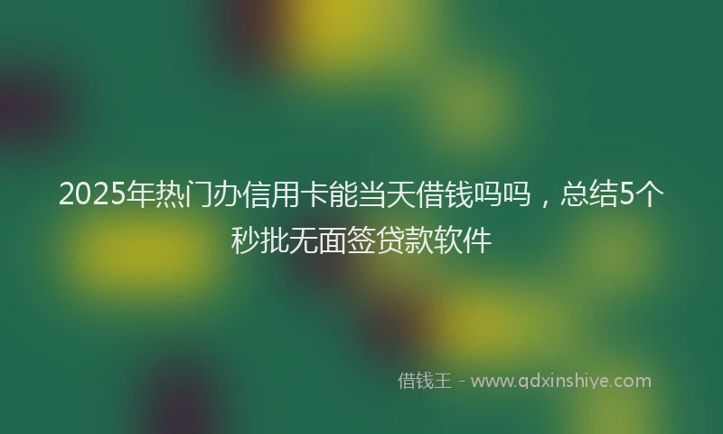 2025年热门办信用卡能当天借钱吗吗，总结5个秒批无面签贷款软件
