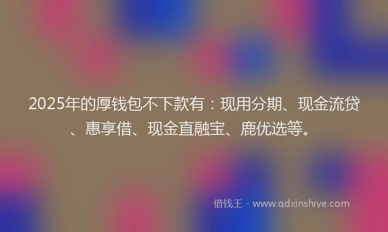 2025年的厚钱包不下款有：现用分期、现金流贷、惠享借、现金直融宝、鹿优选等。