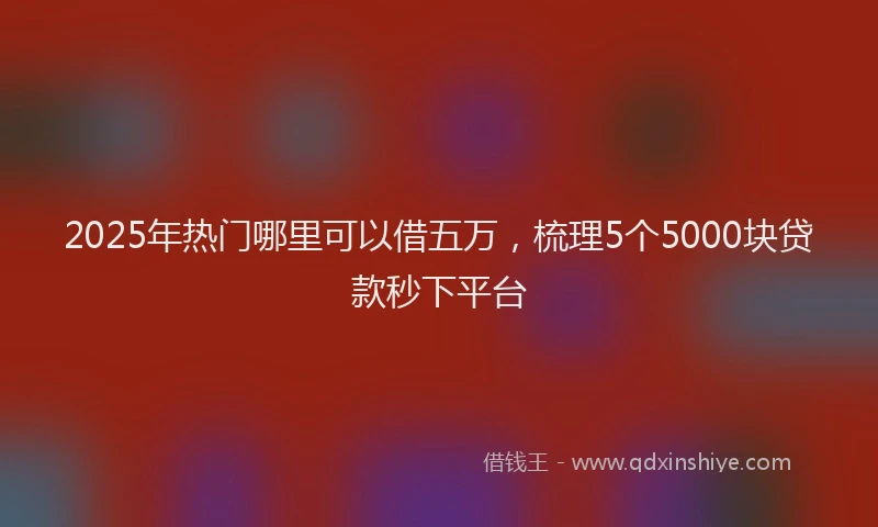 2025年热门哪里可以借五万，梳理5个5000块贷款秒下平台