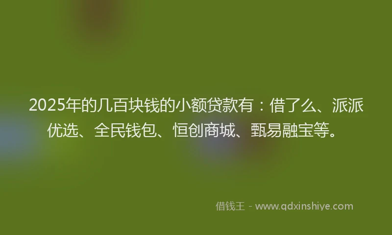 2025年的几百块钱的小额贷款有：借了么、派派优选、全民钱包、恒创商城、甄易融宝等。