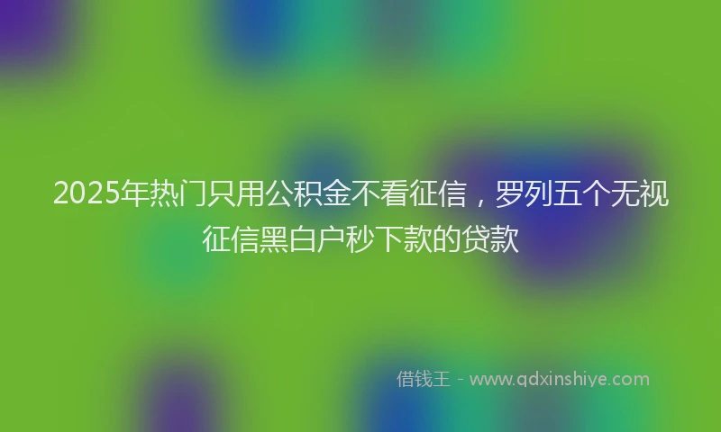 2025年热门只用公积金不看征信，罗列五个无视征信黑白户秒下款的贷款