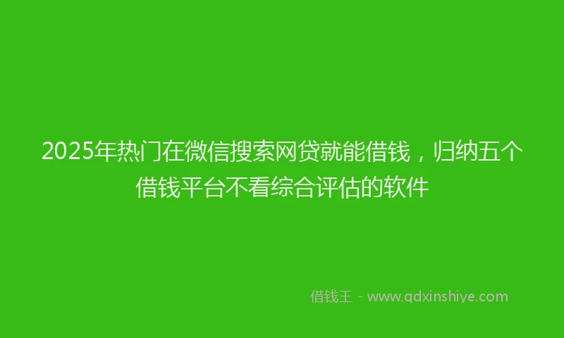 2025年热门在微信搜索网贷就能借钱，归纳五个借钱平台不看综合评估的软件