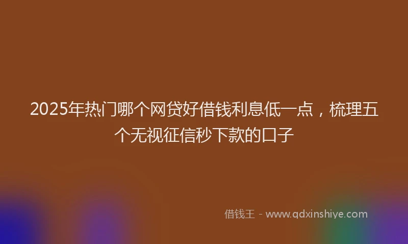 2025年热门哪个网贷好借钱利息低一点，梳理五个无视征信秒下款的口子