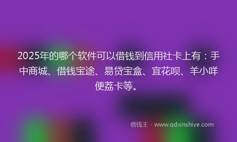 2025年的哪个软件可以借钱到信用社卡上有：手中商城、借钱宝途、易贷宝盒、宜花呗、羊小咩便荔卡等。