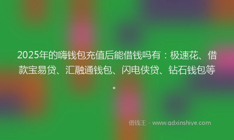 2025年的嗨钱包充值后能借钱吗有：极速花、借款宝易贷、汇融通钱包、闪电侠贷、钻石钱包等。