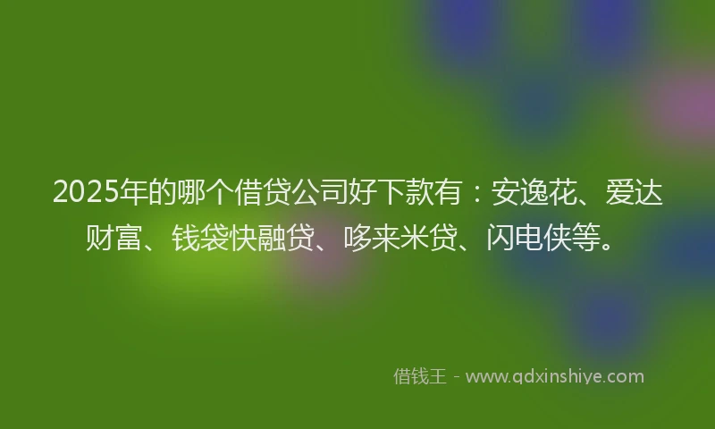 2025年的哪个借贷公司好下款有：安逸花、爱达财富、钱袋快融贷、哆来米贷、闪电侠等。