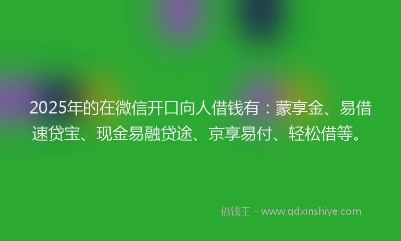 2025年的在微信开口向人借钱有：蒙享金、易借速贷宝、现金易融贷途、京享易付、轻松借等。