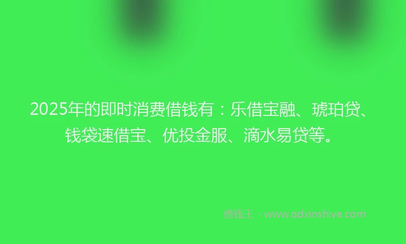 2025年的即时消费借钱有：乐借宝融、琥珀贷、钱袋速借宝、优投金服、滴水易贷等。