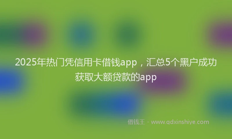 2025年热门凭信用卡借钱app，汇总5个黑户成功获取大额贷款的app
