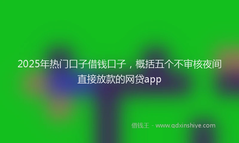 2025年热门口子借钱口子，概括五个不审核夜间直接放款的网贷app