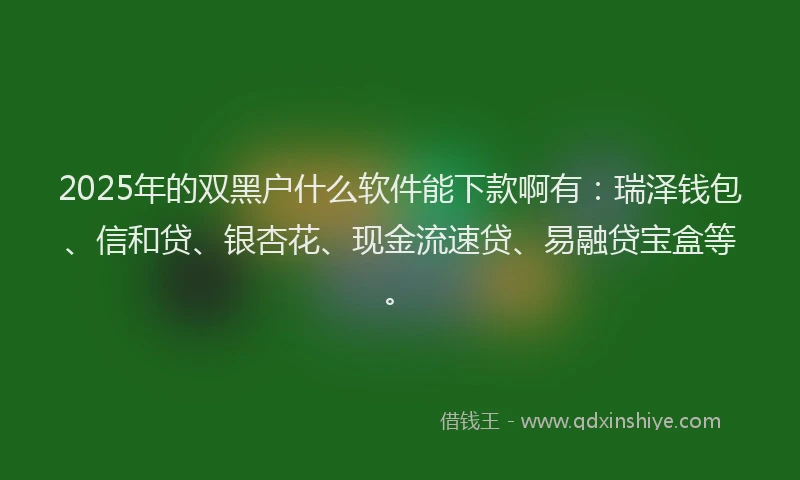 2025年的双黑户什么软件能下款啊有：瑞泽钱包、信和贷、银杏花、现金流速贷、易融贷宝盒等。