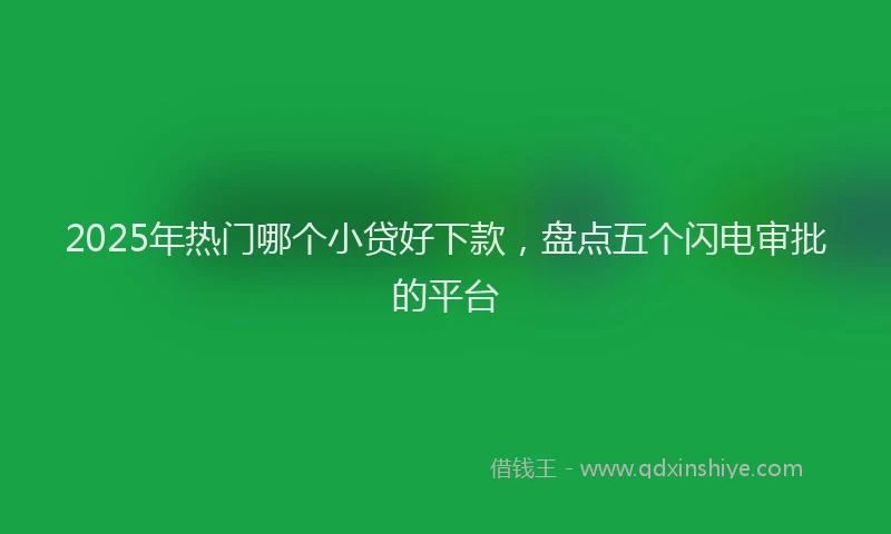 2025年热门哪个小贷好下款，盘点五个闪电审批的平台