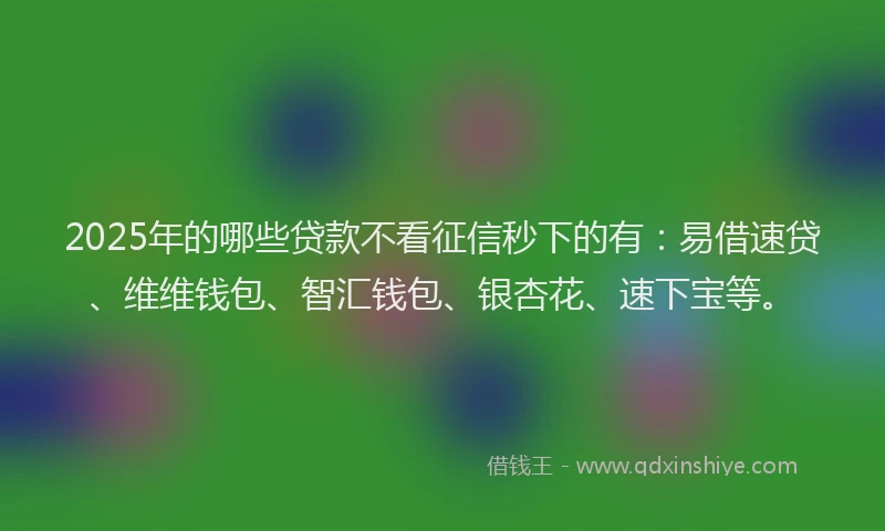 2025年的哪些贷款不看征信秒下的有：易借速贷、维维钱包、智汇钱包、银杏花、速下宝等。