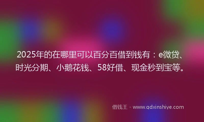 2025年的在哪里可以百分百借到钱有：e微贷、时光分期、小鹅花钱、58好借、现金秒到宝等。