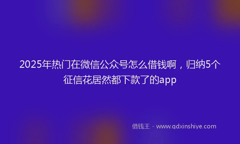 2025年热门在微信公众号怎么借钱啊，归纳5个征信花居然都下款了的app