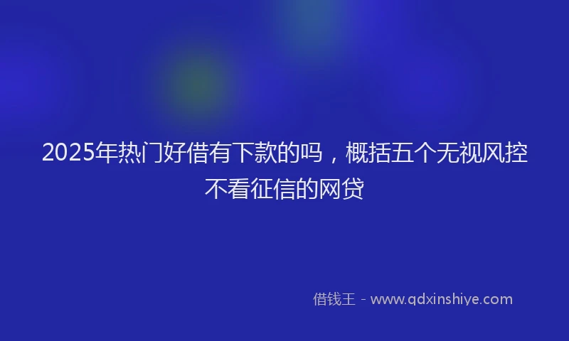 2025年热门好借有下款的吗，概括五个无视风控不看征信的网贷
