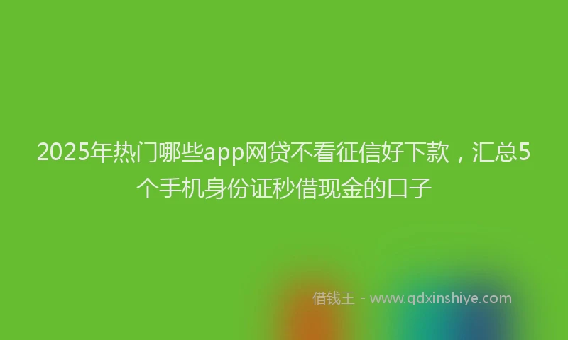 2025年热门哪些app网贷不看征信好下款，汇总5个手机身份证秒借现金的口子
