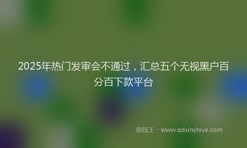 2025年热门发审会不通过，汇总五个无视黑户百分百下款平台