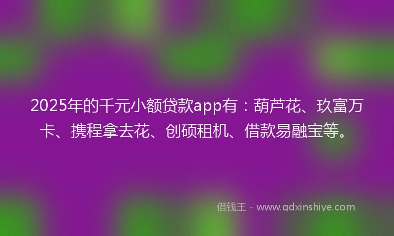 2025年的千元小额贷款app有：葫芦花、玖富万卡、携程拿去花、创硕租机、借款易融宝等。
