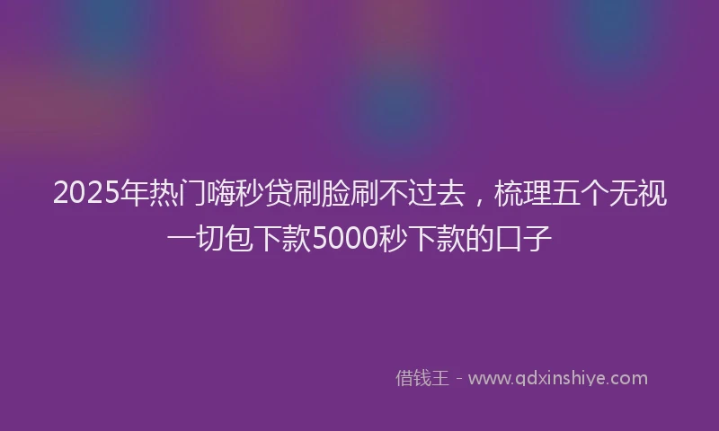 2025年热门嗨秒贷刷脸刷不过去，梳理五个无视一切包下款5000秒下款的口子