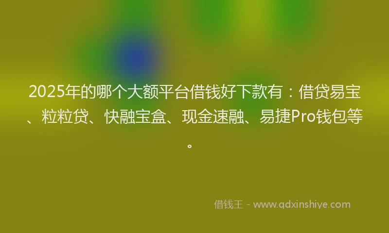 2025年的哪个大额平台借钱好下款有：借贷易宝、粒粒贷、快融宝盒、现金速融、易捷Pro钱包等。