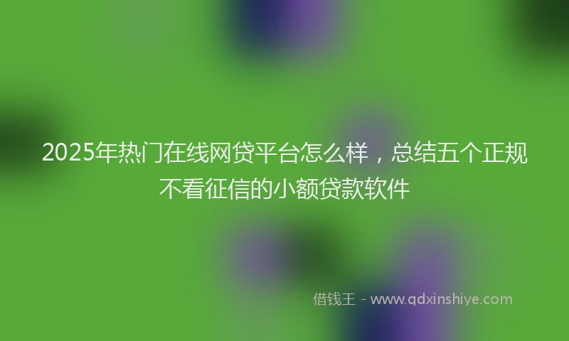 2025年热门在线网贷平台怎么样，总结五个正规不看征信的小额贷款软件