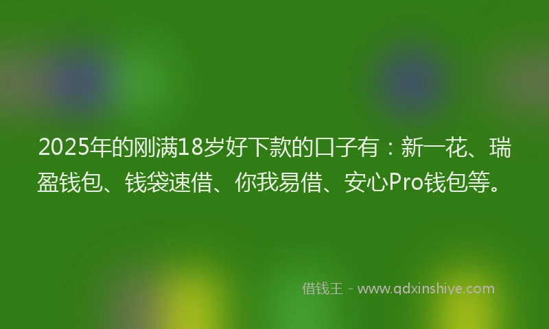 2025年的刚满18岁好下款的口子有：新一花、瑞盈钱包、钱袋速借、你我易借、安心Pro钱包等。