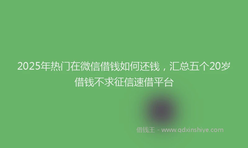 2025年热门在微信借钱如何还钱，汇总五个20岁借钱不求征信速借平台