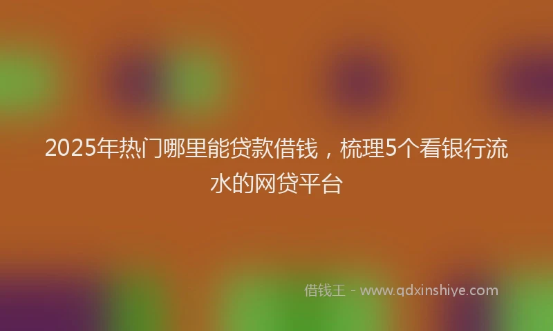 2025年热门哪里能贷款借钱，梳理5个看银行流水的网贷平台