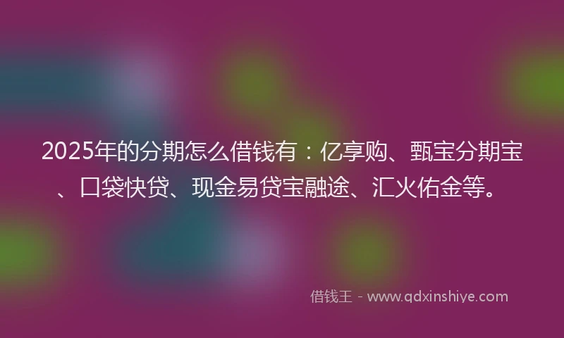 2025年的分期怎么借钱有：亿享购、甄宝分期宝、口袋快贷、现金易贷宝融途、汇火佑金等。