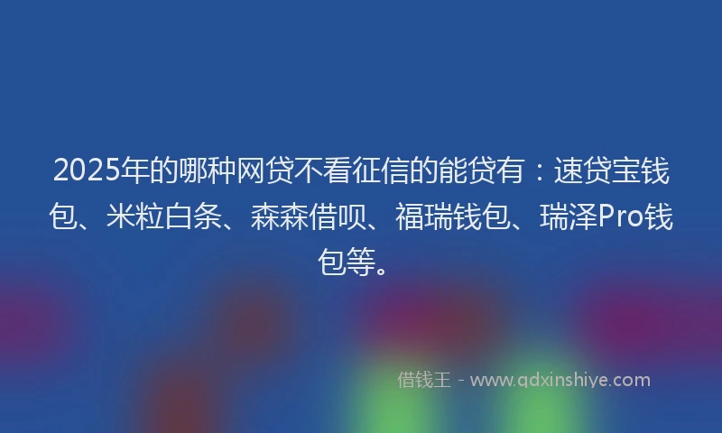 2025年的哪种网贷不看征信的能贷有：速贷宝钱包、米粒白条、森森借呗、福瑞钱包、瑞泽Pro钱包等。
