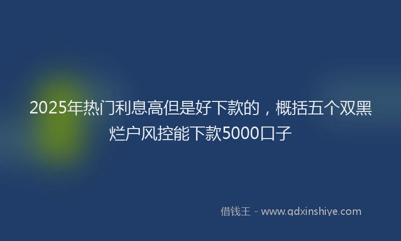 2025年热门利息高但是好下款的，概括五个双黑烂户风控能下款5000口子