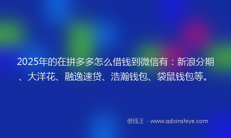 2025年的在拼多多怎么借钱到微信有：新浪分期、大洋花、融逸速贷、浩瀚钱包、袋鼠钱包等。