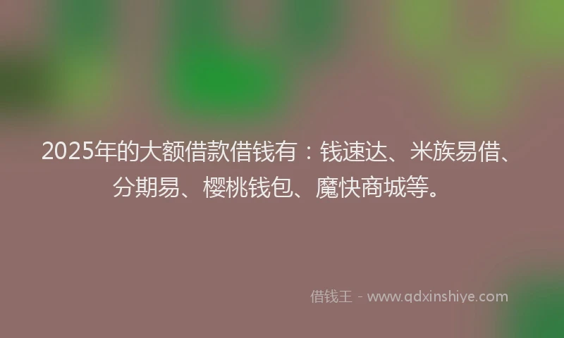 2025年的大额借款借钱有：钱速达、米族易借、分期易、樱桃钱包、魔快商城等。