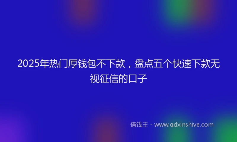 2025年热门厚钱包不下款，盘点五个快速下款无视征信的口子