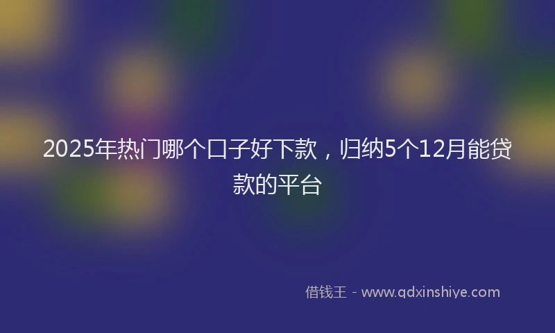2025年热门哪个口子好下款，归纳5个12月能贷款的平台