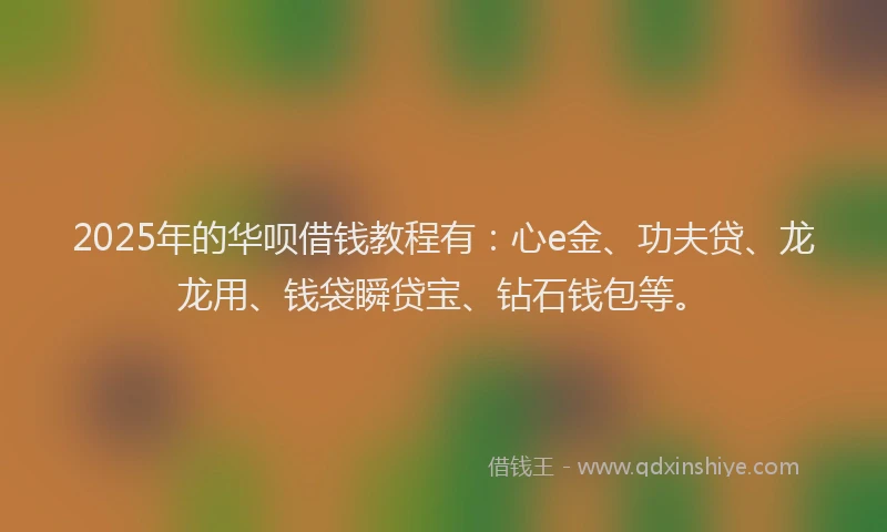 2025年的华呗借钱教程有：心e金、功夫贷、龙龙用、钱袋瞬贷宝、钻石钱包等。