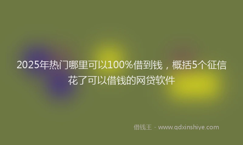 2025年热门哪里可以100%借到钱，概括5个征信花了可以借钱的网贷软件