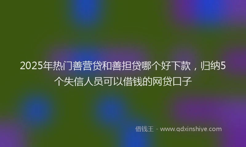 2025年热门善营贷和善担贷哪个好下款，归纳5个失信人员可以借钱的网贷口子