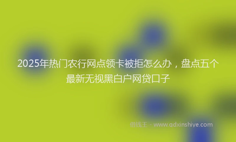 2025年热门农行网点领卡被拒怎么办，盘点五个最新无视黑白户网贷口子