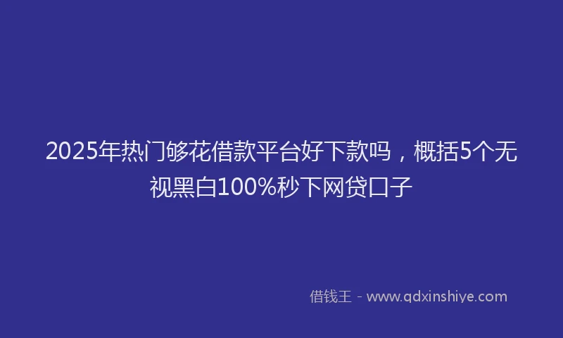 2025年热门够花借款平台好下款吗，概括5个无视黑白100%秒下网贷口子