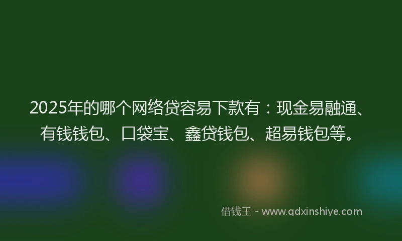2025年的哪个网络贷容易下款有：现金易融通、有钱钱包、口袋宝、鑫贷钱包、超易钱包等。