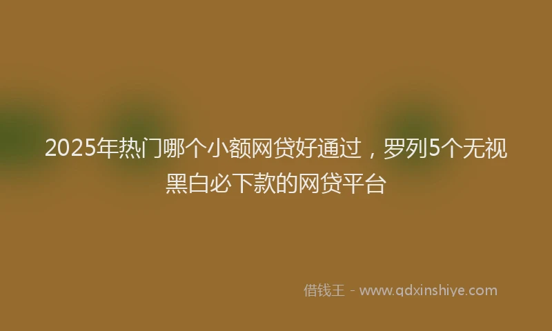 2025年热门哪个小额网贷好通过，罗列5个无视黑白必下款的网贷平台