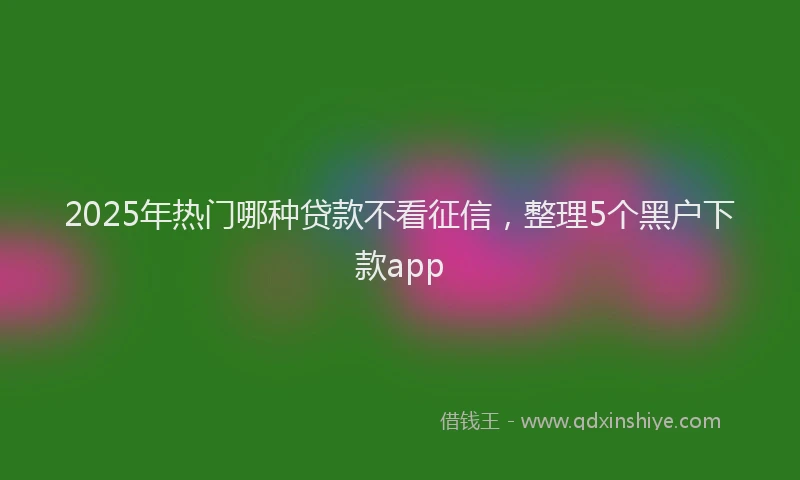 2025年热门哪种贷款不看征信，整理5个黑户下款app