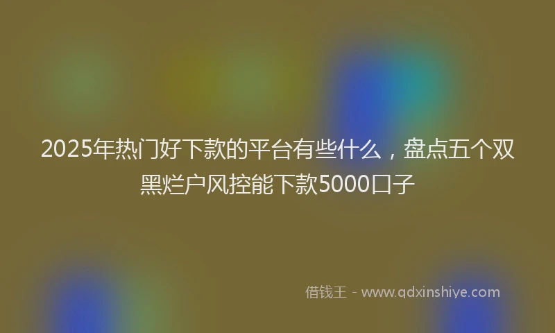2025年热门好下款的平台有些什么，盘点五个双黑烂户风控能下款5000口子