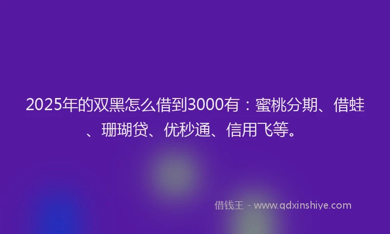 2025年的双黑怎么借到3000有：蜜桃分期、借蛙、珊瑚贷、优秒通、信用飞等。