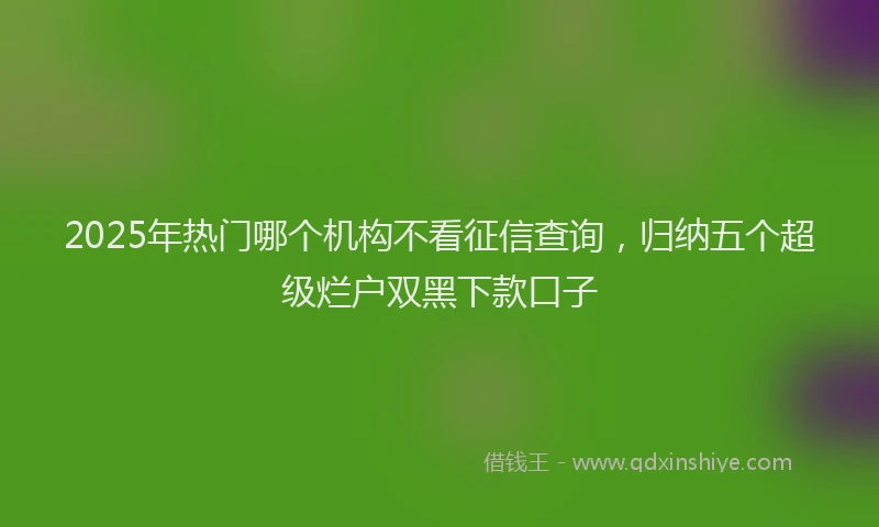 2025年热门哪个机构不看征信查询，归纳五个超级烂户双黑下款口子